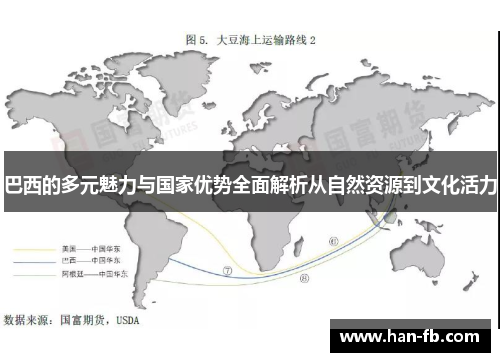 巴西的多元魅力与国家优势全面解析从自然资源到文化活力